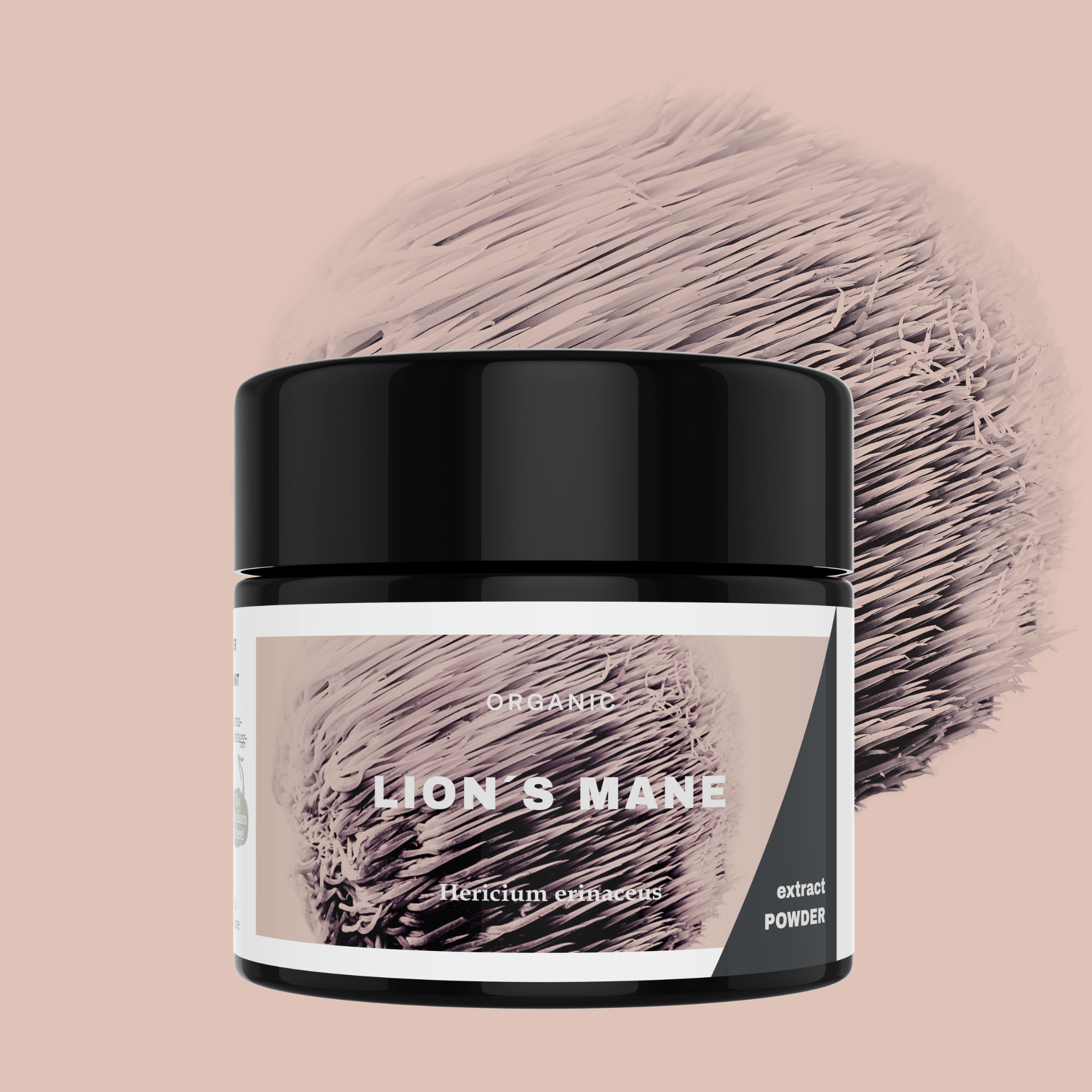 Lion’s Mane Powder by KÄÄPÄ Mushrooms | Organic Brain & Focus Support ...